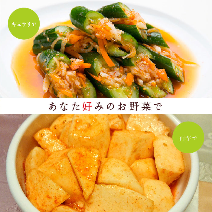 オイキムチの素（小袋）